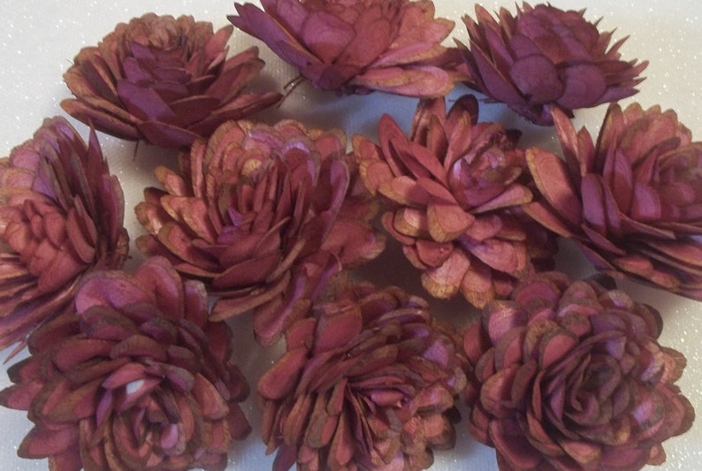 DIY Sola Wood Almond Wedding Flowers Wine 2 size Crafts Wedding Skins Home Decor Sola Wood Flowers Dyed Set of 10