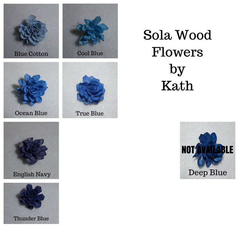 Sample Painted Colors for Sola Wood Flowers/twist or Dahlia Etsy