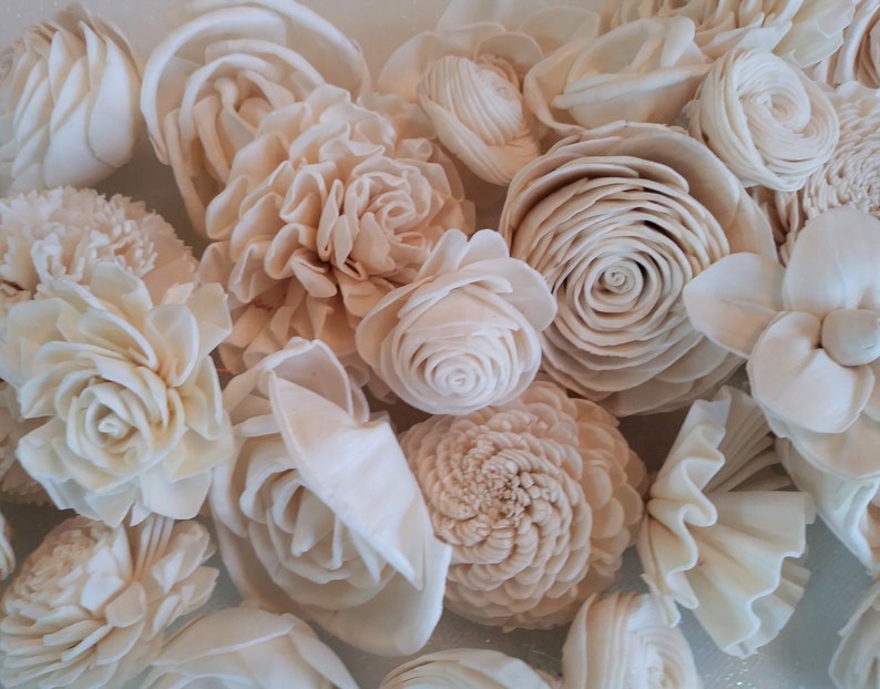 Crafts Set of 30 Home Decor Sola Wood Flowers DIY Flowers Ivory corsages #17 Assortment Wedding Flowers Natural-raw Bouquets