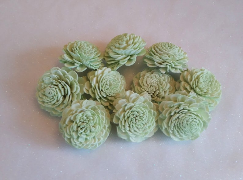 Set of 10 Sola Wood Flowers 2 size Mint Painted Wedding Flowers Home Decor Flowers Crafts Floral Bouquet Sola Wood Bali