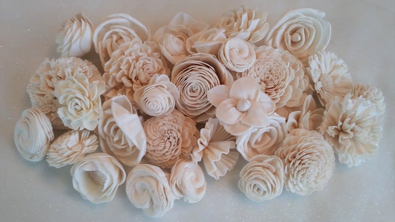 Crafts Set of 30 Home Decor Sola Wood Flowers DIY Flowers Ivory corsages #17 Assortment Wedding Flowers Natural-raw Bouquets