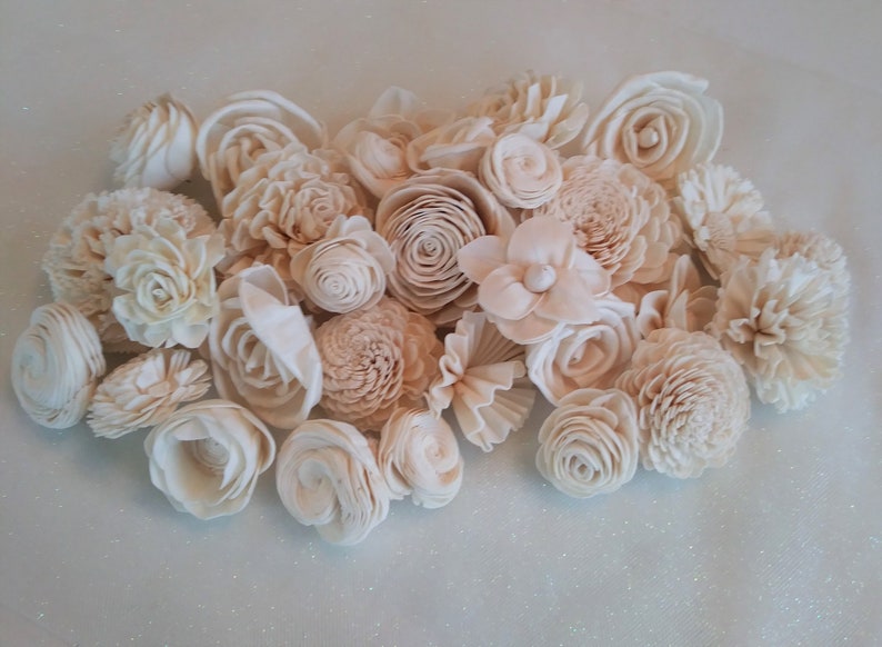Crafts Set of 30 Home Decor Sola Wood Flowers DIY Flowers Ivory corsages #17 Assortment Wedding Flowers Natural-raw Bouquets