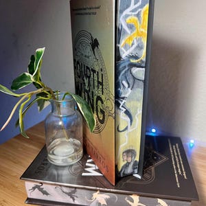Fourth Wing Hand-Painted Edges by Rebecca Yarros | The Empyrean Series | Hardcover | Collector&#39;s Edition | Custom Designed Special Edition