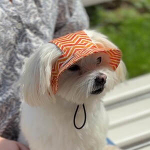 Könnte beinhalten: Ein kleiner weißer Hund trägt eine Stoff-Sonnenblende mit einem orange-weißen Zickzackmuster. Die Blende hat einen abgerundeten Schirm und ein dünnes schwarzes elastisches Kinnband, das das Accessoire am Kopf des Tieres befestigt.