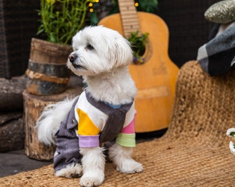 i used to dress my dog in shorts Dog Shorts Pet Shorts, Dog Clothes, Pet Clothes, Dog