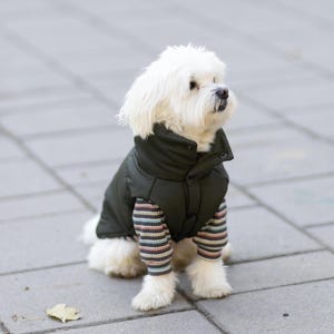 Peut inclure: Un petit chien blanc portant un gilet matelassé vert olive foncé sur un t-shirt à manches longues avec de fines rayures horizontales dans des tons marron, bleu et blanc. Le chien a une fourrure blanche duveteuse et est assis, tourné vers la droite.