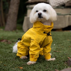 Op de afbeelding: Een kleine witte hond draagt een felgele regenjas met capuchon. De jas heeft lange mouwen, een hoge kraag met een zwarte trekkoordsluiting en een gestructureerde pasvorm die de romp en poten bedekt voor volledige bescherming van het lichaam.