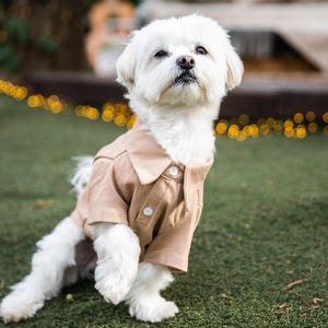 Custom dog polo shirt with unique design, beige, white, red, black, pink, gift for dog, for her, for dog owners. Apparel for Dog lover