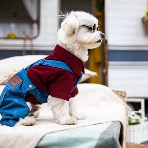 Hundepoloshirt mit einzigartigem Design, beige, weiß, rot, schwarz, rosa, Geschenk für Hund, für Sie, für Hundebesitzer. Kleid für Hundeliebhaber