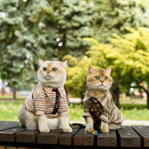 May include: Two cats wearing striped shirts and ties sit on a wooden bench. The cat on the left has a light-coloured coat and the cat on the right has a golden coat. The background is a blurred view of green trees and foliage.