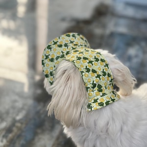 May include: A white dog with long fur wearing a fabric hat featuring a repeating pattern of yellow flowers with white petals and green leaves on a light green background. The hat has a wide brim and covers the top of the dog's head.
