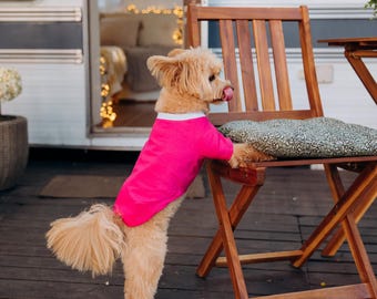 Roze hondenshirt met grijze kraag, cadeau voor hond, voor haar, voor hondenbezitters. Hondenkleding, cadeau voor hondenliefhebber