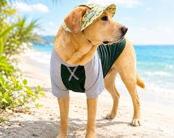 2026 Buntes Hunde-Shirt & Bucket Hat Set, helles Sommer-Hundeoutfit, Passende Haustierkleidung, Labrador-Strand und Fotoshooting-Abnutzung