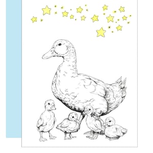 Ducks Card