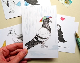 Bird Postcards - Set of 5