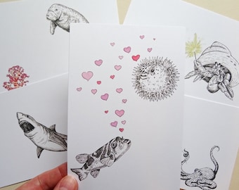 Sea Creatures Postcards - Set of 5