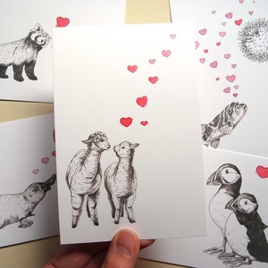 Cartes postales d'amour - Lot de 5