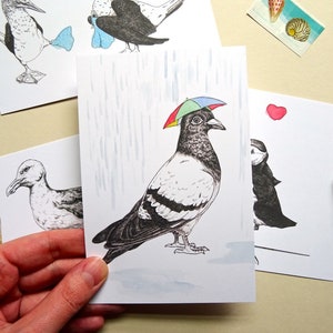 Cartes postales d’oiseaux - Lot de 5