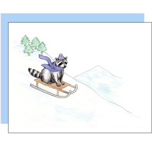 Carte raton laveur