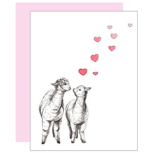 Alpacas Card