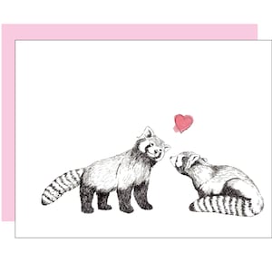 Roter Panda Karte