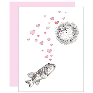 Kugelfisch Karte
