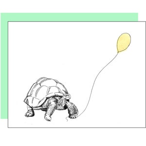 Carte Tortue