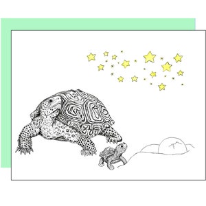 Carte Tortue