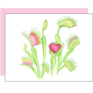 Puede incluir: Un dibujo de un grupo de plantas carnívoras, las dionaeas atrapamoscas, con un corazón rojo en una de las trampas. Las dionaeas son verdes con acentos rojos y amarillos.