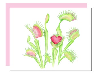 Venus Flytraps Card