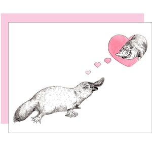 Platypus Card