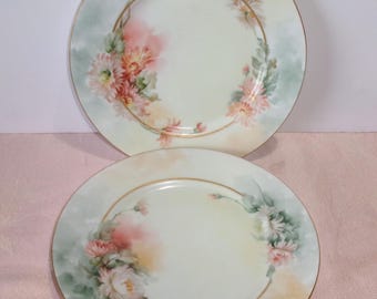 Elegant Antique Porcelain Hand Painted 2 Salad Plates Germany Blanks McW Artist Floral