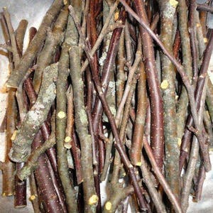 May include: A pile of thin, brown twigs with a rough, textured surface. The twigs are bundled together and appear to be dry.