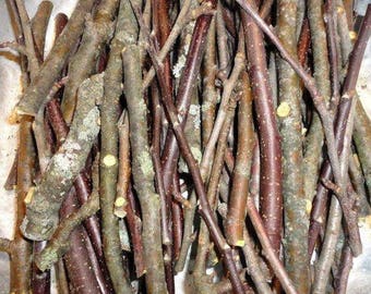 Phoenix Farm Organic FRESH Fruit Wood Gnawers (tm) SAMPLE Size Choice Apple Pear Crabapple Blueberry Chew Sticks Rabbits Treat