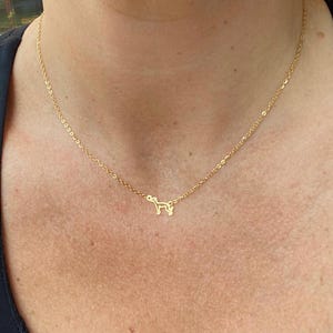May include: A delicate gold-colored necklace featuring a small dog pendant. The pendant is a simple outline of a dog. The necklace is worn around the neck, and the chain is thin and elegant.
