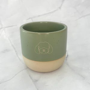 Vaso plano blanco grabado con diseño de mezcla de Cockapoo/Cavapoo/Maltipoo/Caniche, color verde salvia