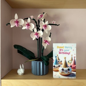 May include: A white orchid plant with pink flowers in a gray pot. A white rabbit figurine is on a wooden shelf below the plant. A birthday card with the text "Donut Worry It's your Birthday!" is on the shelf.