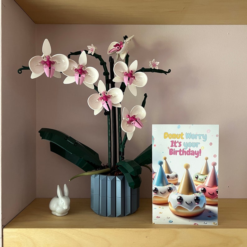 May include: A white orchid plant with pink flowers in a gray pot. A white rabbit figurine is on a wooden shelf below the plant. A birthday card with the text "Donut Worry It's your Birthday!" is on the shelf.