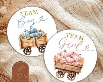 Pink and Blue Pumpkin Gender Reveal Stickers, Team Boy or Team Girl Stickers, Fall Pumpkin Gender Reveal Tags, Boho Baby Shower Label C54