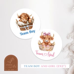 May include: Two 2-inch round stickers featuring watercolour illustrations of Highland cows in baskets. One sticker says "Team Boy" in blue text and the other says "Team Girl" in pink text.