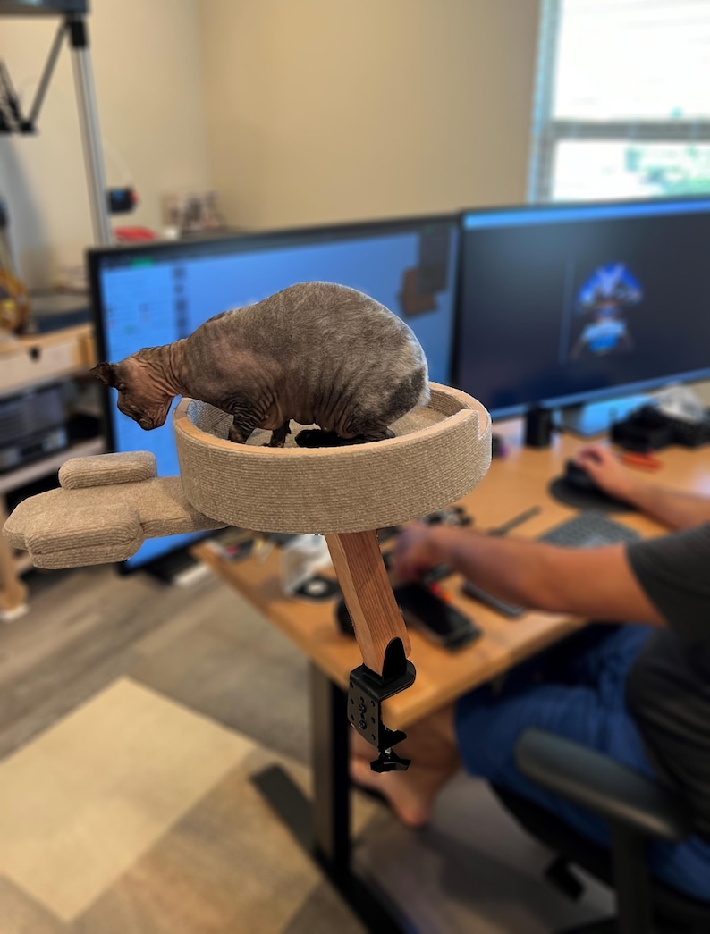 Op de afbeelding: Een grijze kat zit op een beige kattenboom-zitting die met een zwarte klem aan een bureau is bevestigd. De kattenboom is gemaakt van hout en heeft een beige stoffen bekleding. De kat kijkt naar het bureau.