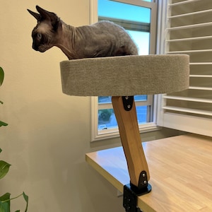 Op de afbeelding: Een grijze kat zit op een ronde, grijze kattenplank die is bevestigd aan een houten arm met een zwarte klem. De plank is bevestigd aan een houten bureau.