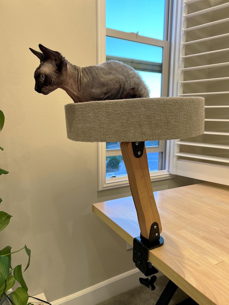 Op de afbeelding: Een grijze kat zit op een ronde, grijze kattenplank die is bevestigd aan een houten arm met een zwarte klem. De plank is bevestigd aan een houten bureau.