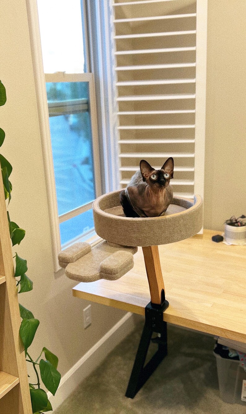 Op de afbeelding: Een haarloze kat zit op een beige kattenboom die aan een houten bureau is bevestigd. De kattenboom heeft een rond platform en een kleiner platform met een pootvormig ontwerp. Het bureau is gemaakt van licht hout en heeft zwarte metalen poten.