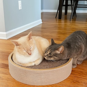 Puede incluir: Dos gatos, uno color crema y otro atigrado gris, cerca de un rascador redondo para gatos. El gato crema está acurrucado y durmiendo. El gato gris está mirando al gato crema. El rascador tiene un centro de cartón y un borde de tela beige.
