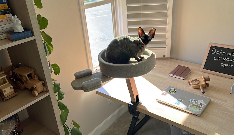 Op de afbeelding: Een grijze kattenboom met een rond platform en een lange arm die naar buiten steekt. Een haarloze kat zit op het platform. De kattenboom is met een zwarte klem aan een houten bureau bevestigd. Een laptop, een notitieboekje en een klein houten speelgoed liggen op het bureau. Een krijtbord met de tekst "Oakpine toys best Monte toys" staat op het bureau.