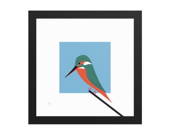 Martín pescador común - Impresión enmarcada de aves