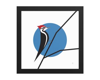 Pájaro carpintero crestado - Impresión enmarcada de pájaro