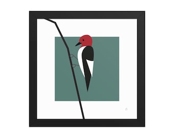 Pájaro carpintero de cabeza roja - Impresión enmarcada de pájaro