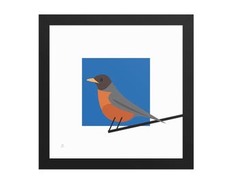 Petirrojo americano - Impresión enmarcada de pájaro